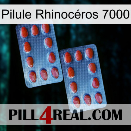 Pilule Rhinocéros 7000 05